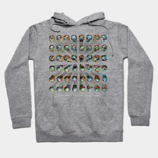 Skull Army of Color Hoodie